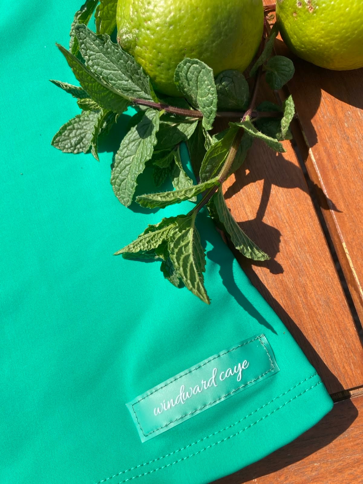 Ruffle Swim Top in Cool Green